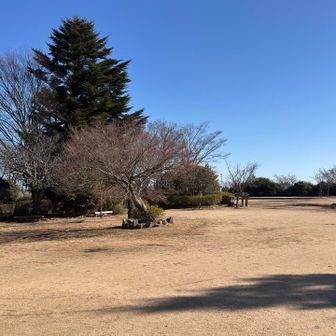 掬星台に到着。
思っていた以上に暖かく、外でランチタイム🍙