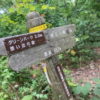 分岐点。