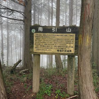 途中、破線ルートで急登登るも無事に到着💦
山頂のベンチでのんびり☕︎タイム
ごちそうさま♡