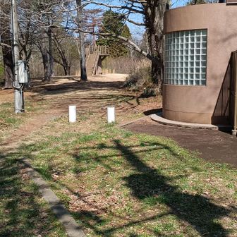 ここまでの道は🚗すれ違える気がしません😂