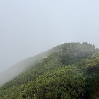山頂からの景色なまったくなし。晴れていればトムラウシへの縦走路が見えるはずだけど。