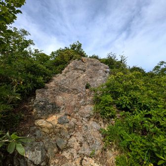 これ登ったら山頂？と思いましたが、横移動50mくらいあります。
