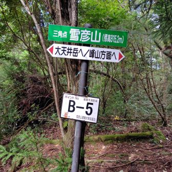 ここが雪彦山としての最高到達点。
鉾立とかジャンクションピークはあまり興味がわかないので行かない。