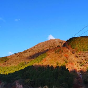 朝日に照らされ始めた鶴見岳に向かって登り始めます。