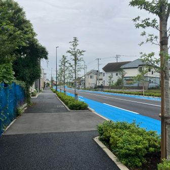 この辺りは絶賛開発中のようでYAMAP地図と目の前の道が一致せず遭難しかけました。