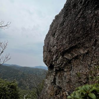 上には無理やな