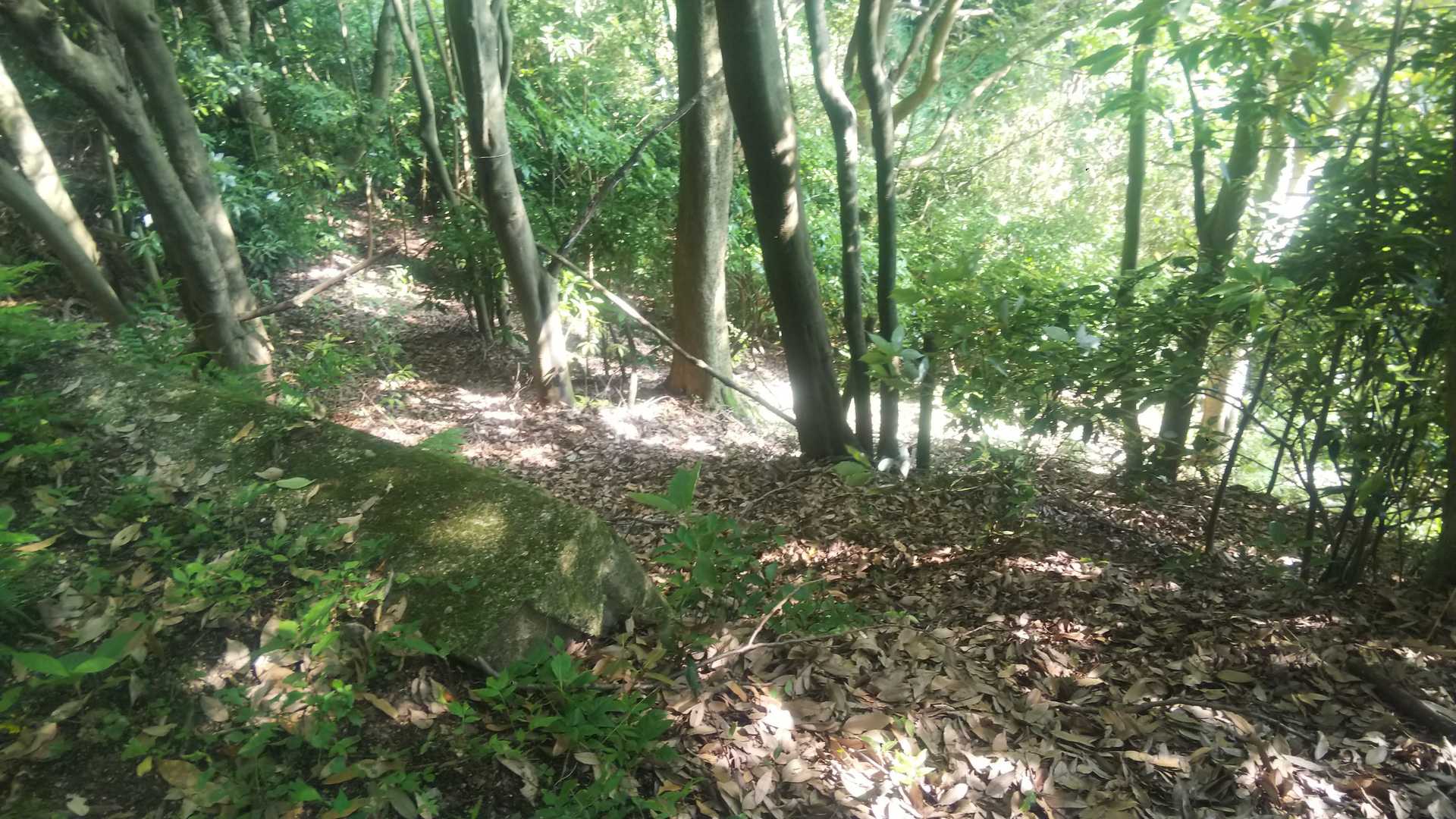 ここから長尾の滝に繋がってるみたい