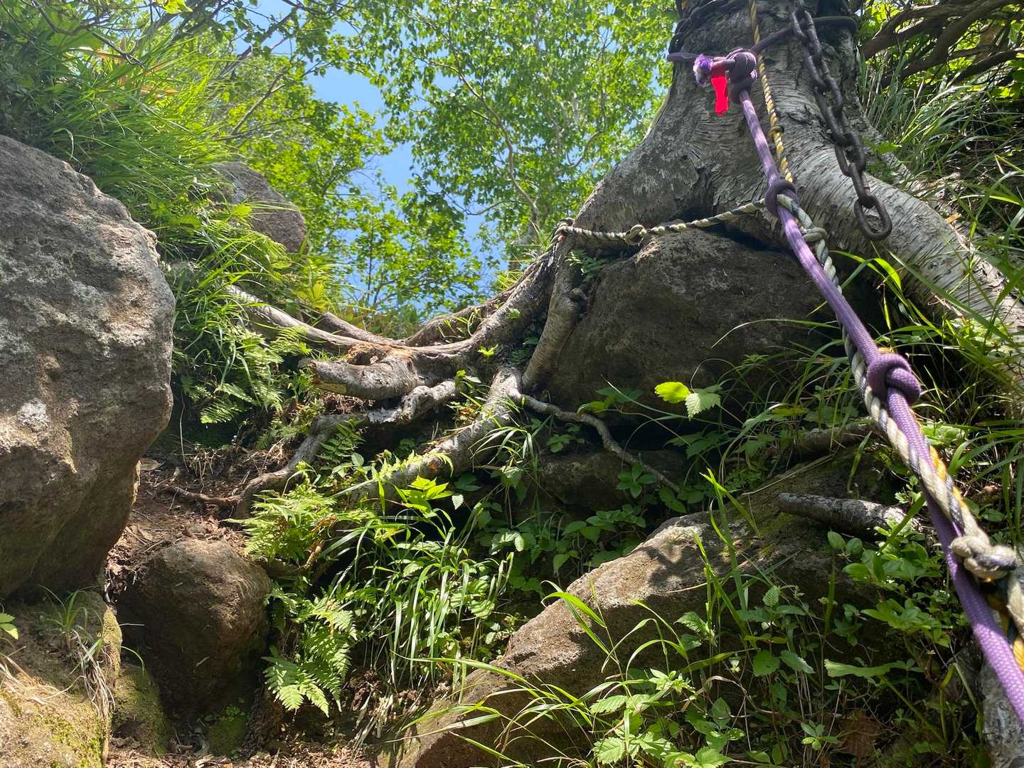 お次は風不死岳へ⛰️
こんなロープ場が何ヶ所かあり。
そしてもちろん急登もあってなかなかキツかった〜😣