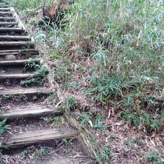 国見山へ寄ります