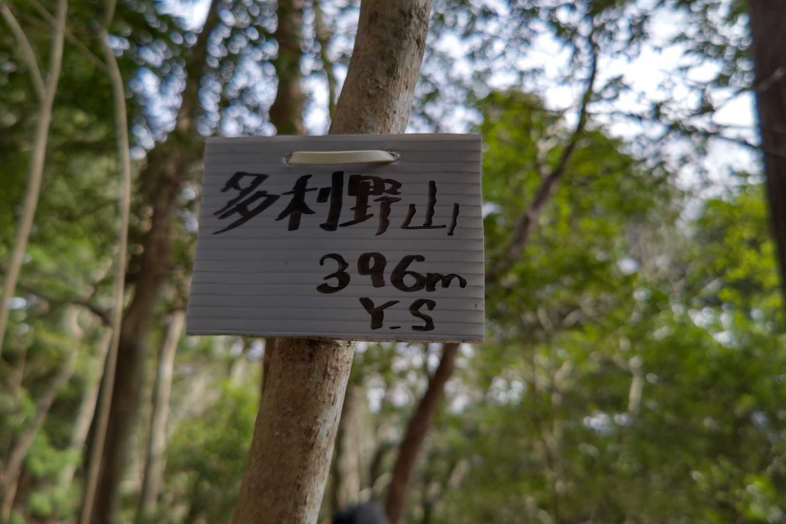 多利野山の写真