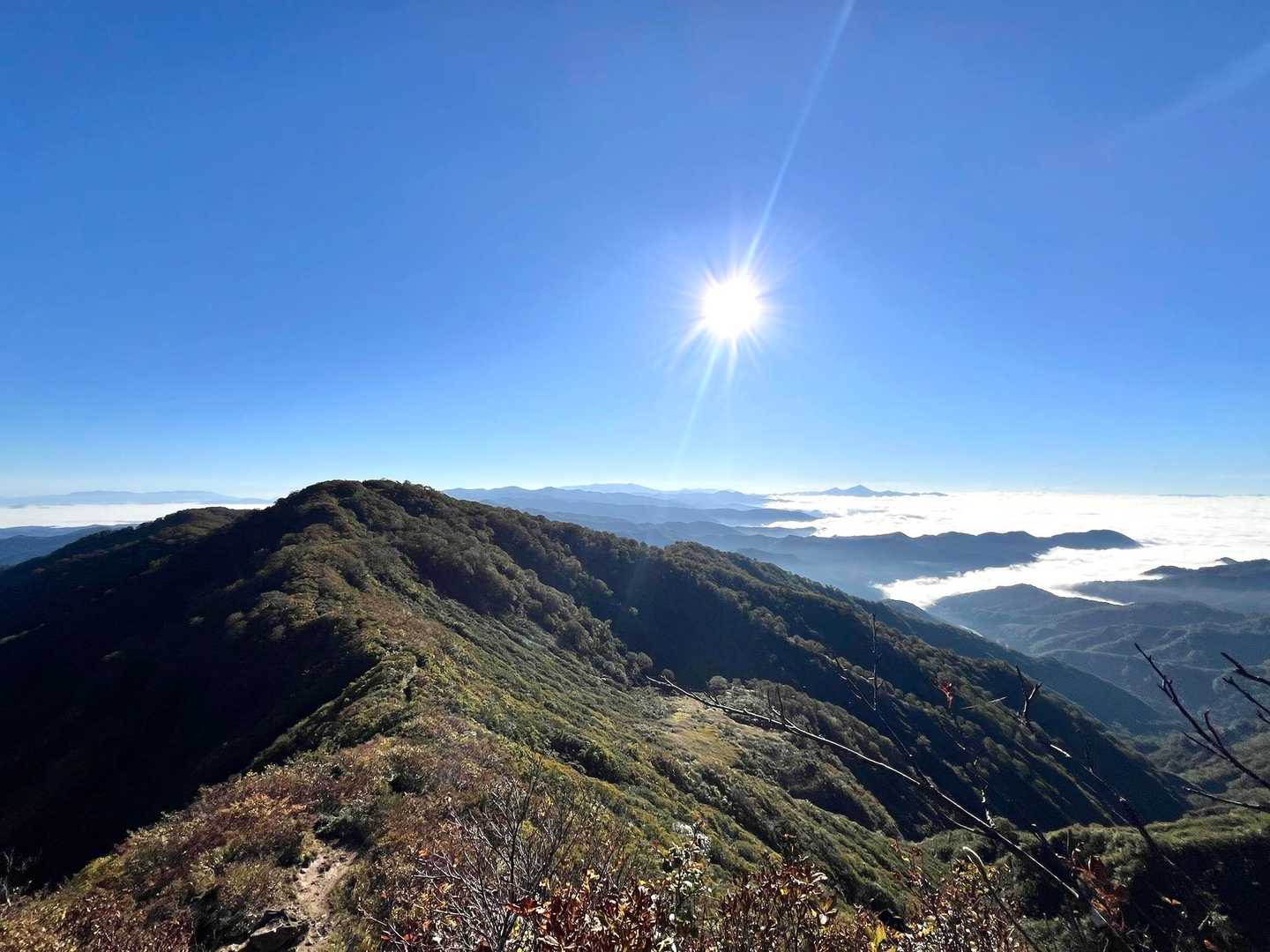 振り返ると、太陽がキラキラ☀️