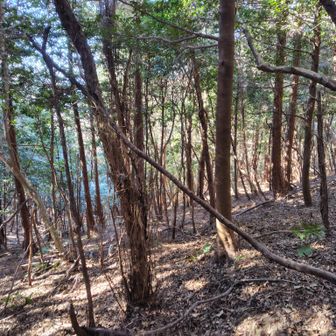 テープがまばらなので同じところに降りられる気がしない
道は自由だけど出口は多くないのでどうしたものやら