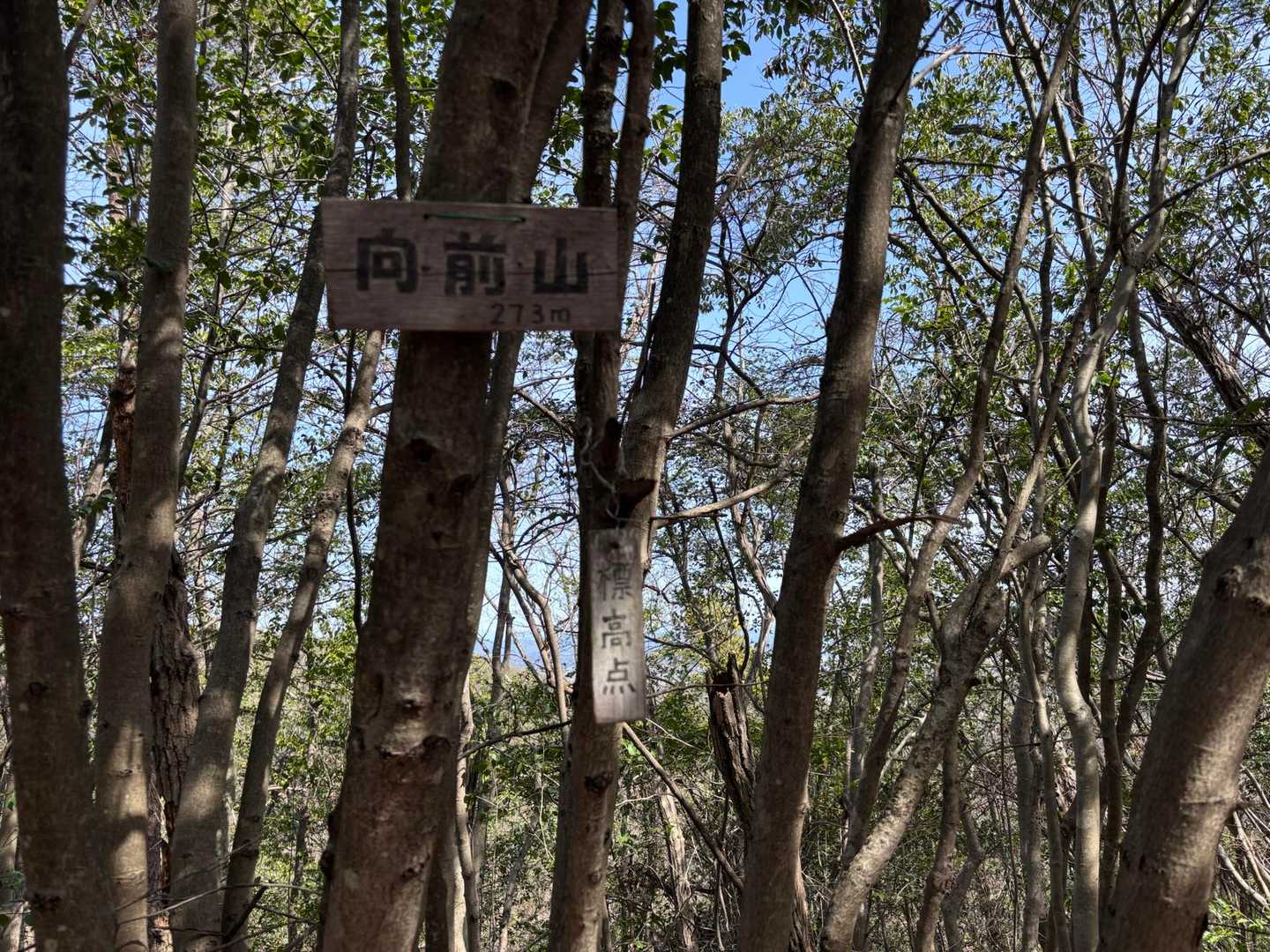 向山-須衛山-見晴台登山口 周回コースの写真