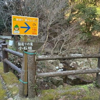 鮎帰りの滝へ。