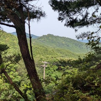わずかに眺望あり