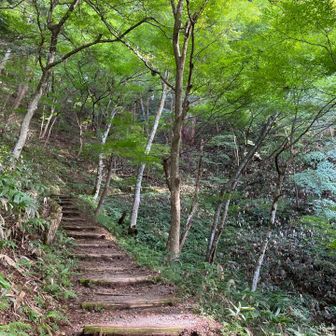 短パン姿の外国人とすれ違いました