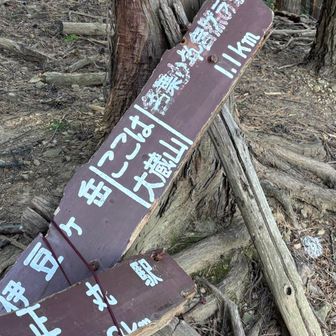 大蔵山…可哀想な姿に…