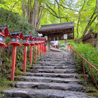 日中は本殿前が行列になるそうなのですが、早朝なら…