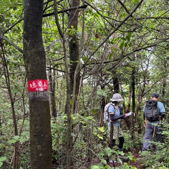 ぐるり周回してスタート地点に戻る