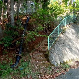 登山口まで下りてきました💦
行きでは半信半疑で進まなかった階段が登山道入口の正解でした⭕️