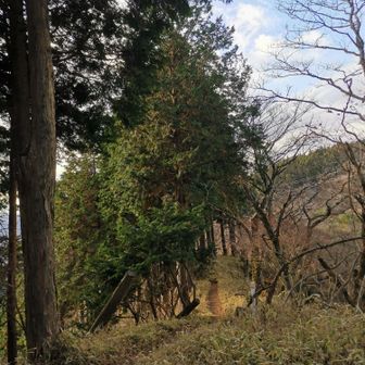 笹の道気持ちいい〜