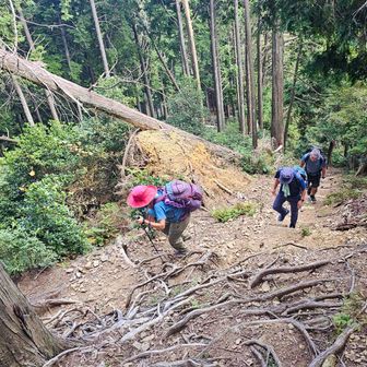 距離150mで 70ｍを登るので短いが急登だ