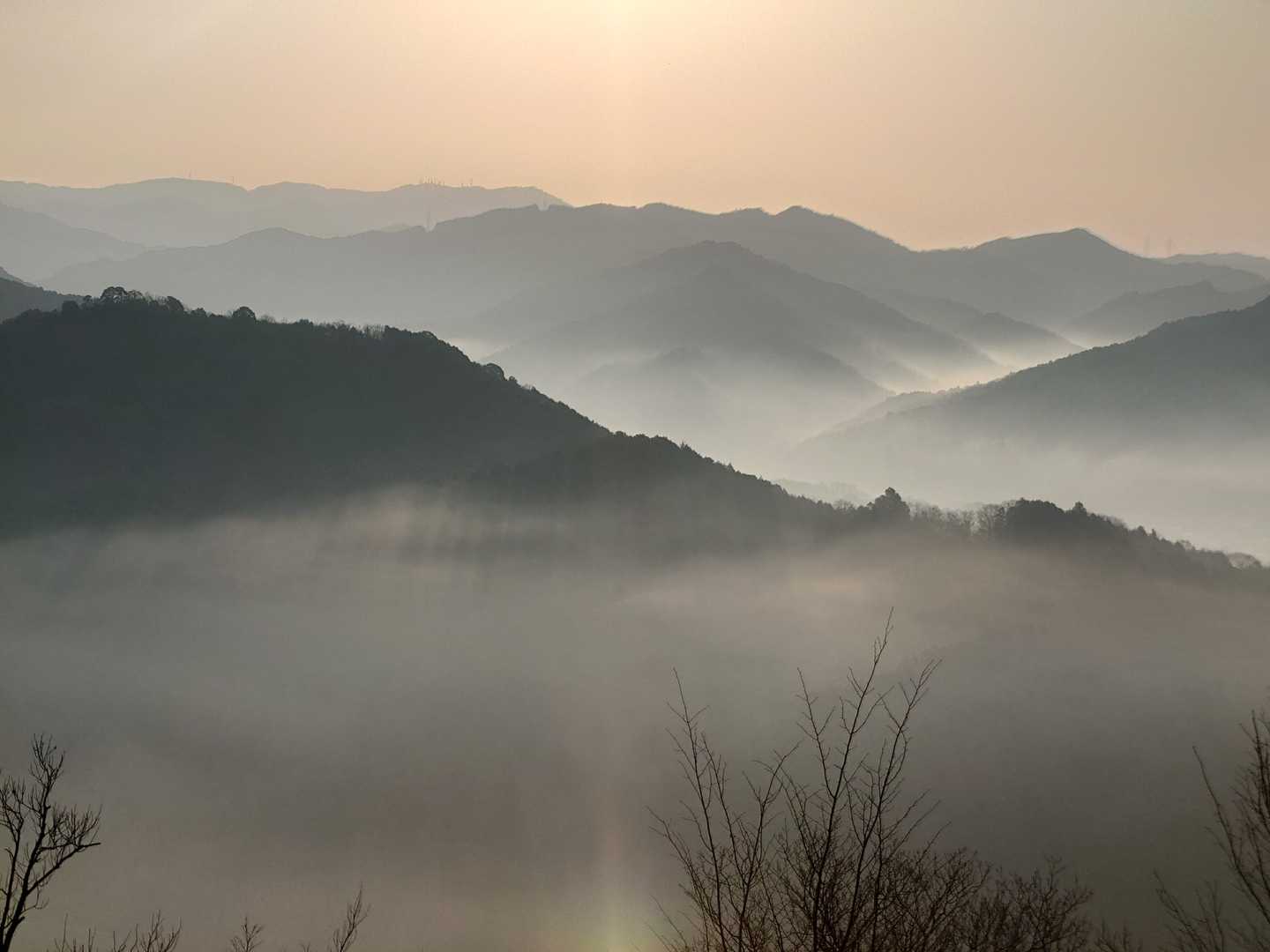 おおだ山の写真