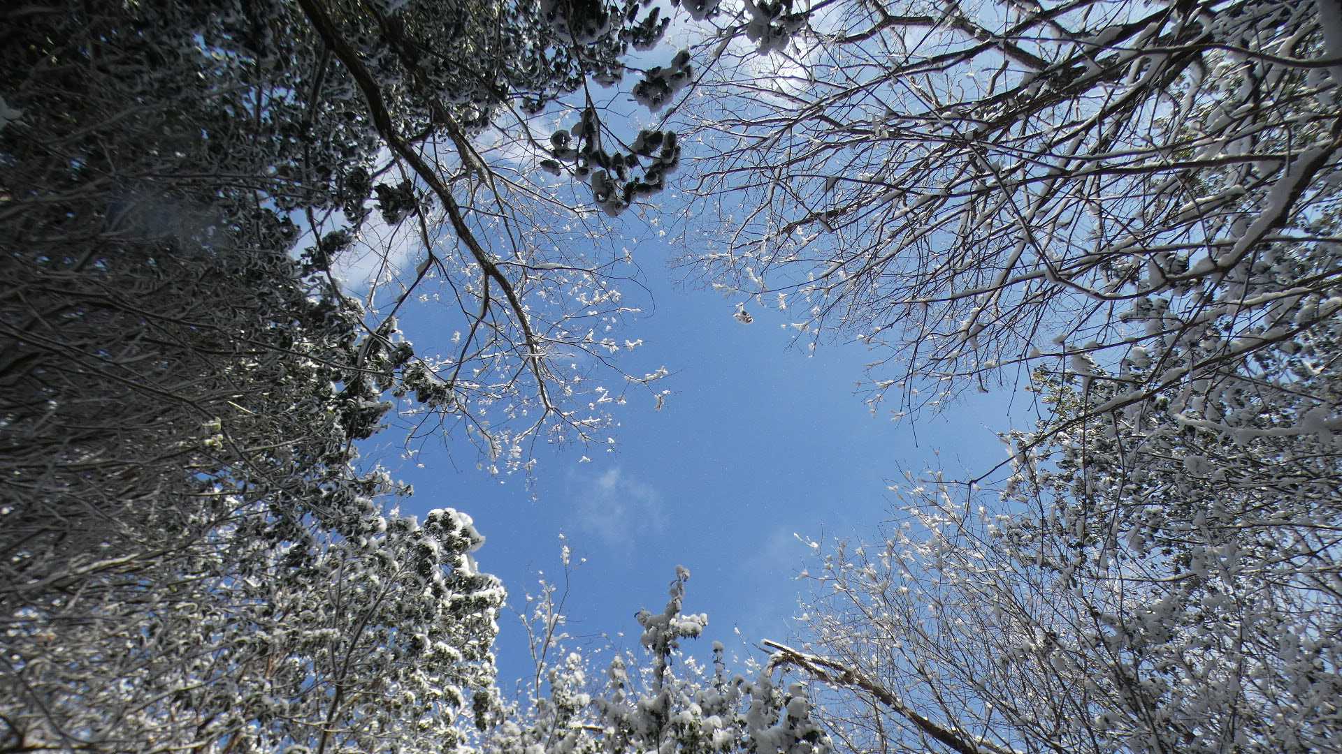 小雪が舞ったり、晴れ間が出たり、
変わりやすい天気。