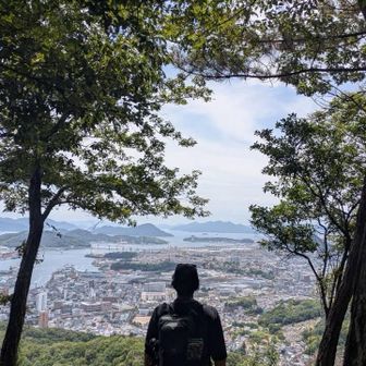 よしよし