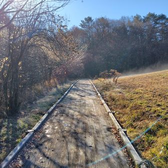 今朝の冷え込みで凍っている広くて立派な木道を進みます。
きらきら光ってきれいですが、凍っているのでもちろん滑ります。
足元ばかり気にしながら進んでいたら道を間違えました。戻ります。