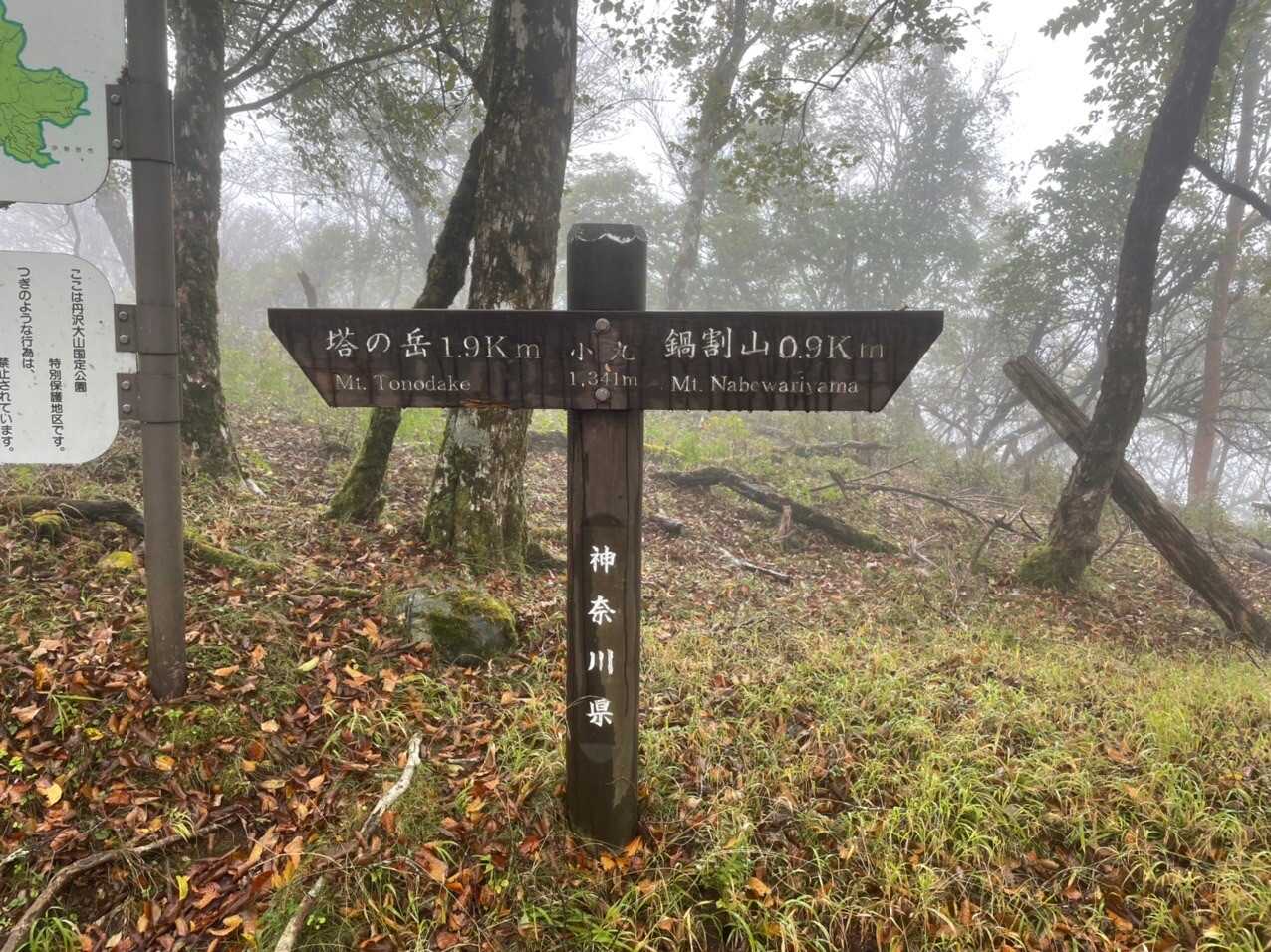 小丸の写真