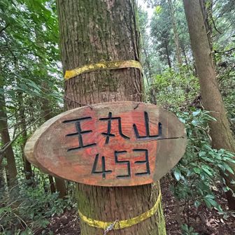 👑
蜘蛛の巣の数かな