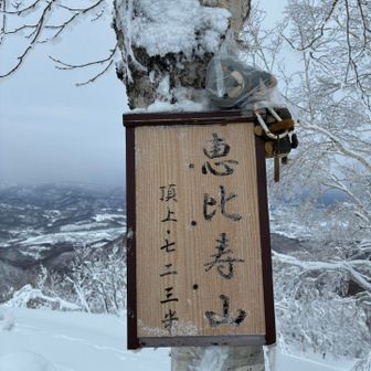 トウチョ🐶
まあ雪すくねー💦
例年は掘り起こして、しゃがんで撮影📸