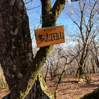 この山も通過して⛰️