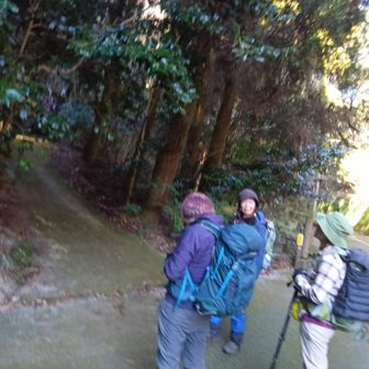 登山口のそばに着きました