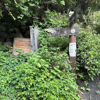スタート。この近くに🅿️あります。