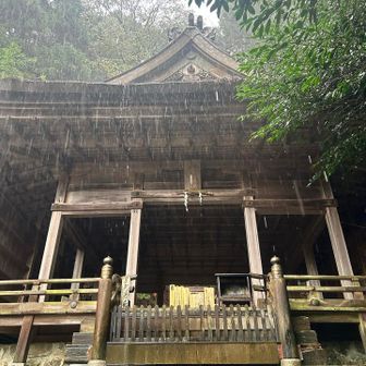 本日の目的地。
金峯山（吉野山から大峯山上ヶ岳一帯）の地主の神 金山毘古神（かなやまひこのかみ）を祀る世界遺産の神社⛩️
ここで中国からのツーリストと出会う。
バスがなくて困っていたそう。空腹とのことで🍙を渡す。
日本に留学歴があり日本語も堪能で、明るく素敵な人だった☺️バス停まで案内しお別れ。