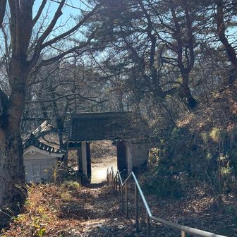 大峰山エイドで補給して出発。
先行していた人に追いつこうとするも追いつけなかった。