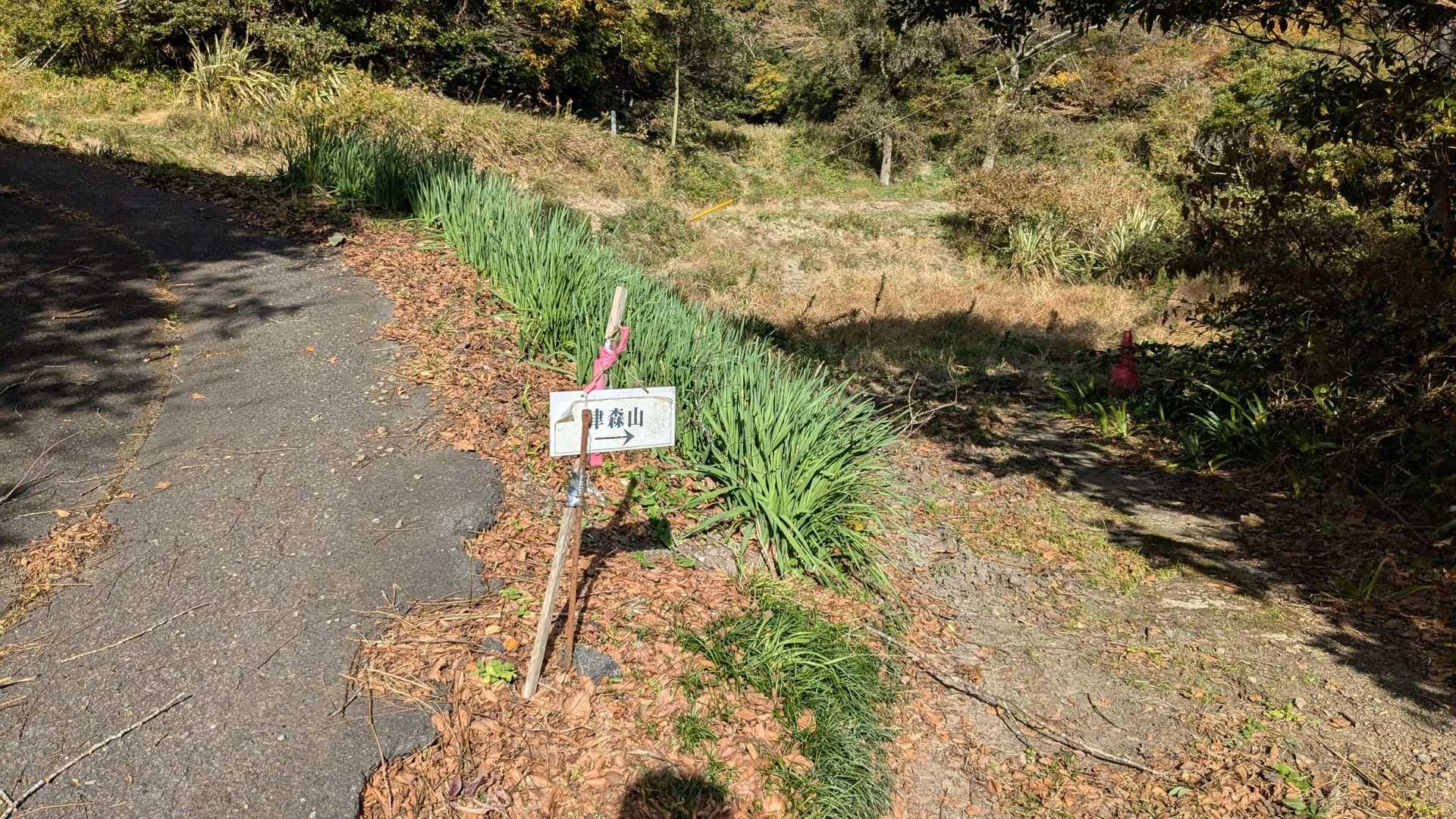 津森山は右へ🙂