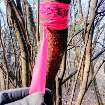 1200記念✨
200しか撮れてないけど笑