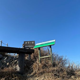 最後にしたから撮ってみる。