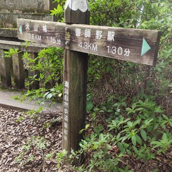 善師野駅方面が、三角点方面です(頂上方面)