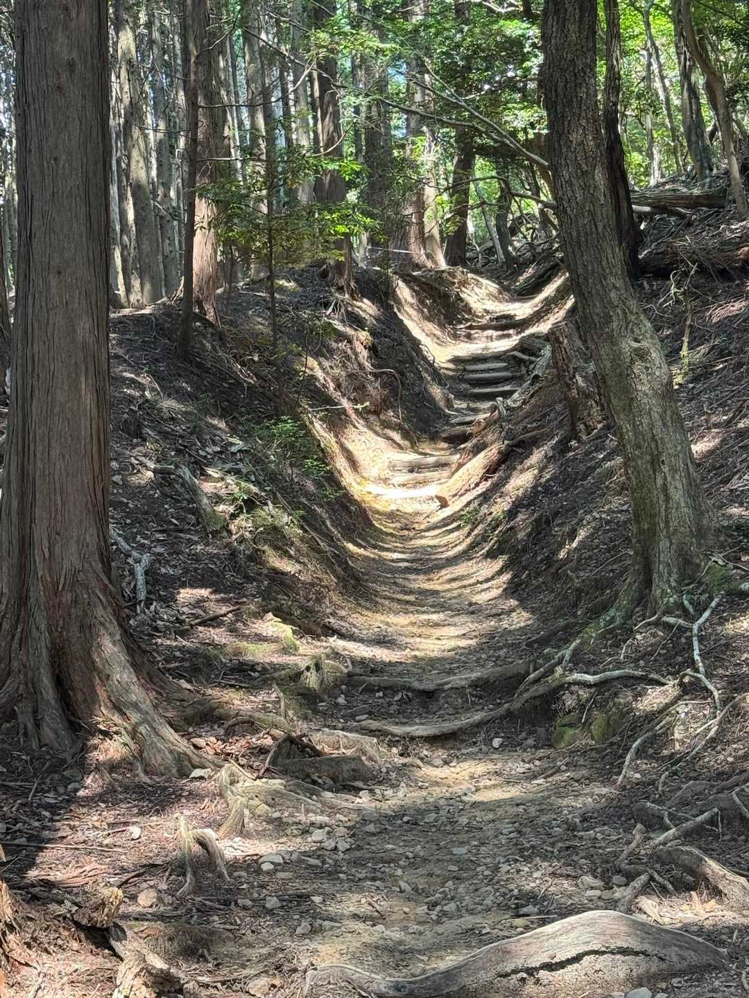 ポンポン山往復 | 初心者から楽しめる、声に出したくなる不思議な山の写真