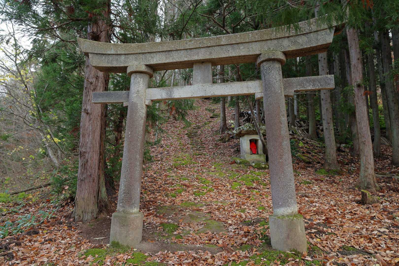 登山口まで降りてきました。