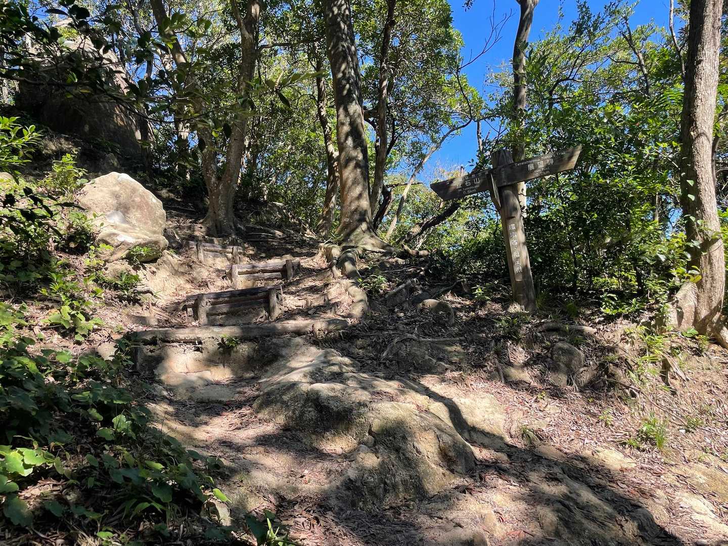 階段ありの歩きやすい登山道