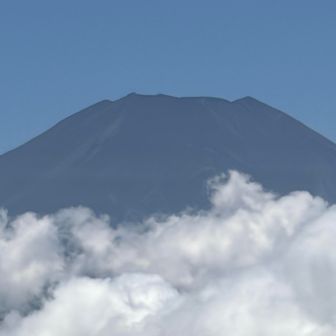 今日もにぎわっているのかな