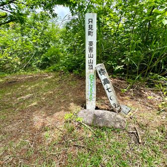 山頂！
ここまでロープが何本も張ってあります
助かりました〜

山頂は眺望なし。
「ここの写真を撮ってインフォメーションセンターに行くと、バッチがもらえるかもよ」と教えていただきました。
下山したら寄ってみよう〜♪