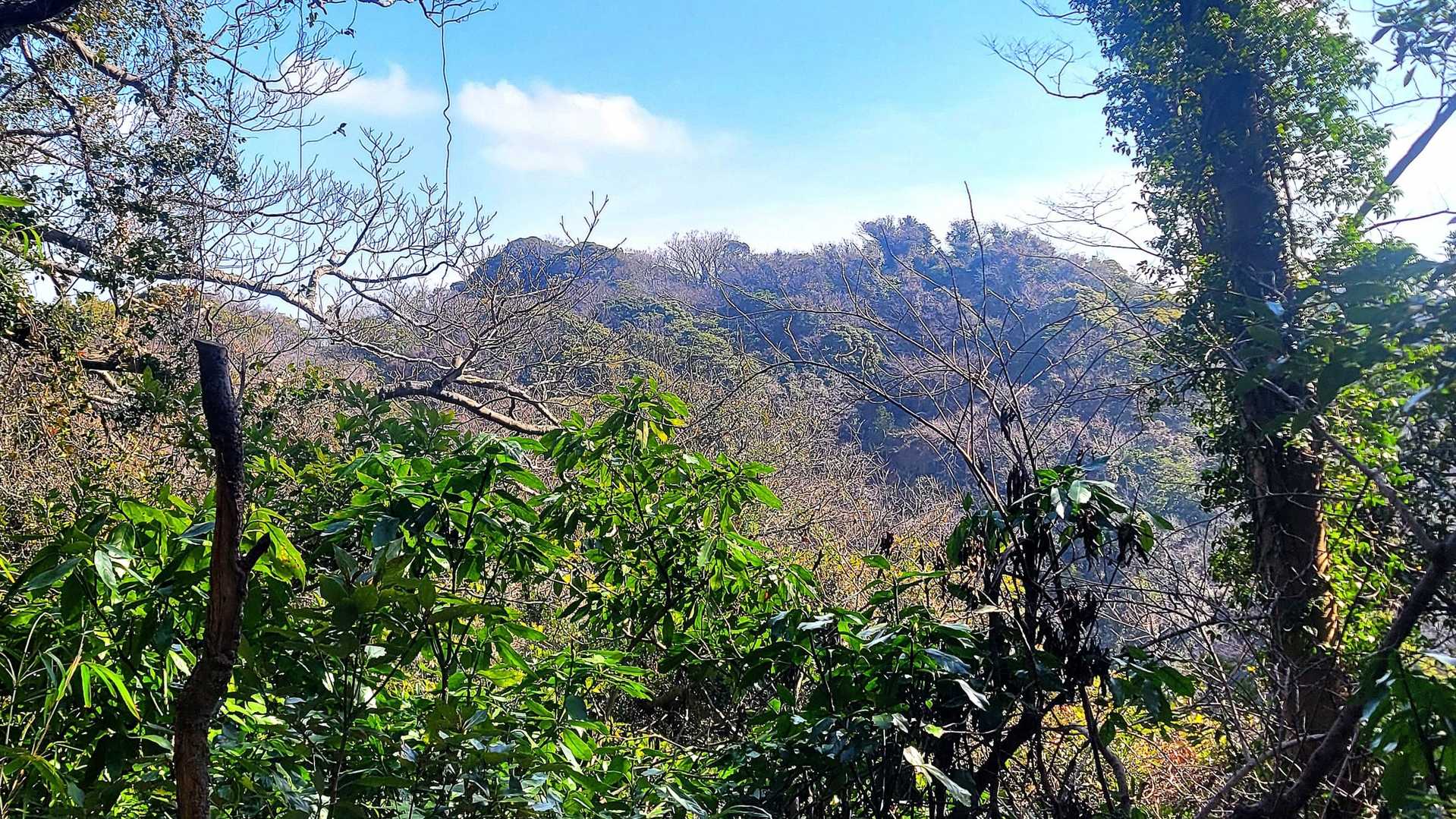 富士山です😃