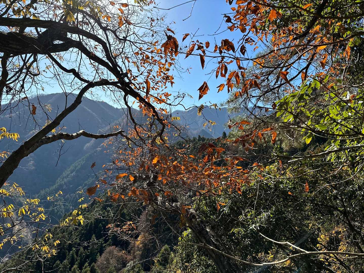 四阿屋山 往復コースの写真