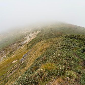 そして仙ノ倉山への登りが始まる